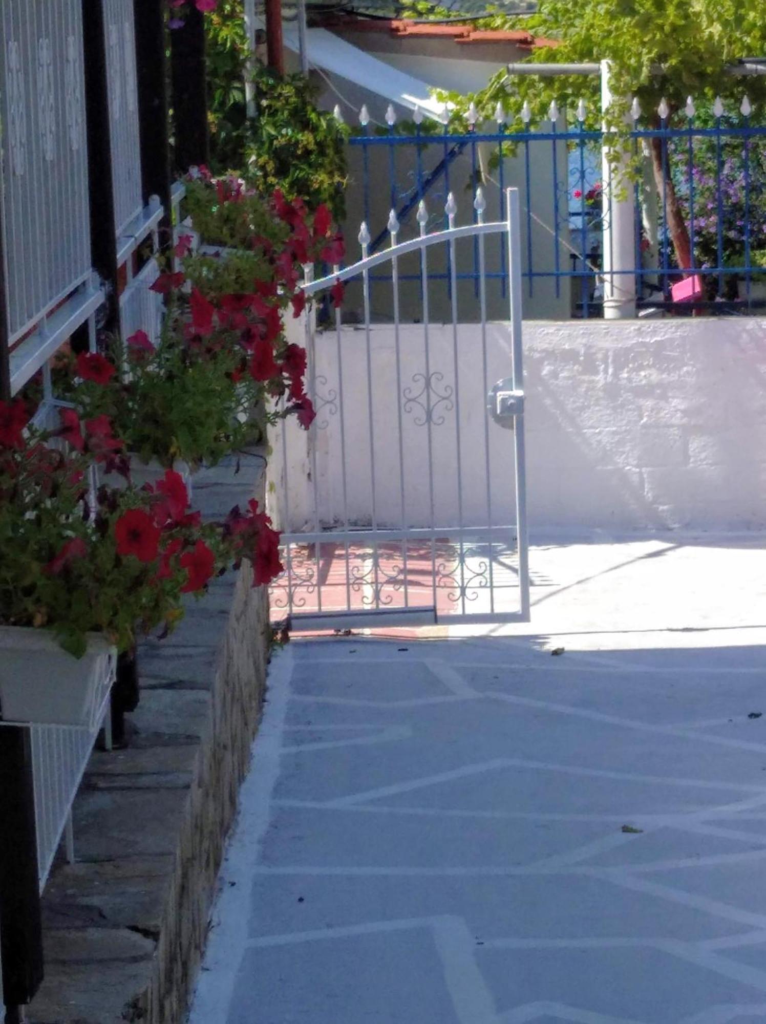 Studio Porto Marina Sykia Chalkidikis Exteriör bild