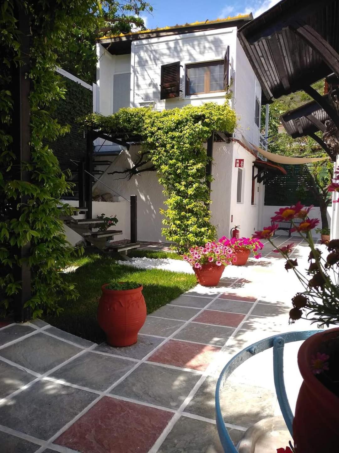 Studio Porto Marina Sykia Chalkidikis Exteriör bild